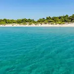 Sani