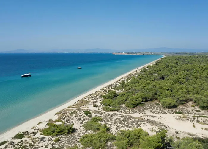 Resort Sani Sani (Chalkidiki)