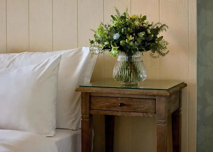 Sani Sani (Chalkidiki)