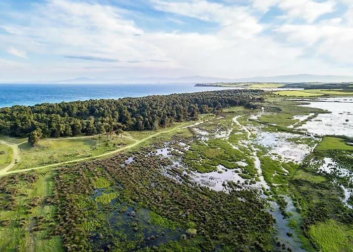 Resort Sani Sani (Chalkidiki)